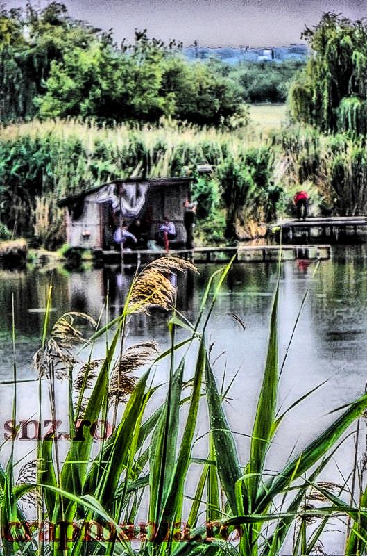 Senior Trophy (3) - 2013 - 1012821hdrmode2.jpg